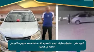 تنويه هام.. سائق يعترف اليوم بتسميم كلاب ضالة بعد هجوم متكرر على أبنائه في الجيزة